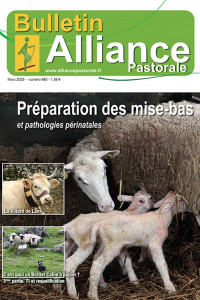 Bulletin de l'Alliance Pastorale N°963 - Mars 2025
