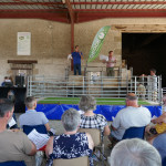 Vente de béliers de race Charmoise, sortant du Centre d’élevage (36)
