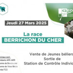 Sortie jeunes béliers Berrichon du Cher 2025 (18)