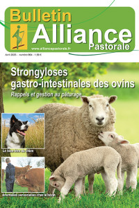 Bulletin de l'Alliance Pastorale N°964 - Avril 2025