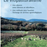 Retour  du Vitipastoralisme