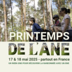 PRINTEMPS DE L’ÂNE : Un week-end national pour découvrir la randonnée  avec un âne