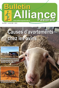 Bulletin de l'Alliance Pastorale N°965 - Mai 2025