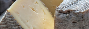 Déroulé de fabrication d’un fromage type tomme grise