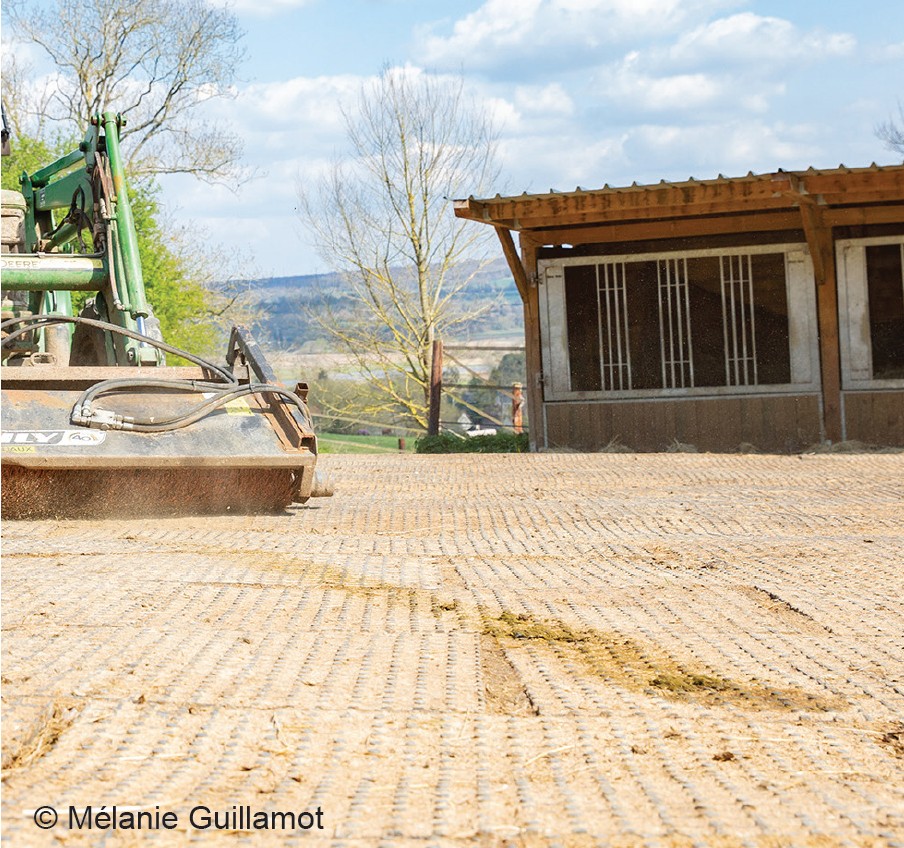 Aires découvertes  destinées à l’hébergement des chevaux :  quelles sont les règles  à respecter ?