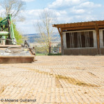 Aires découvertes  destinées à l’hébergement des chevaux :  quelles sont les règles  à respecter ?