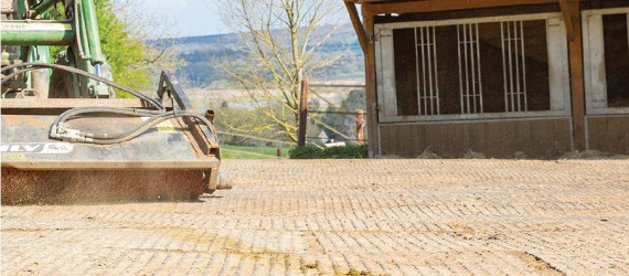 Aires découvertes  destinées à l’hébergement des chevaux :  quelles sont les règles  à respecter ?