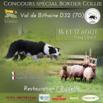 Concours spécial Border Collie (70)